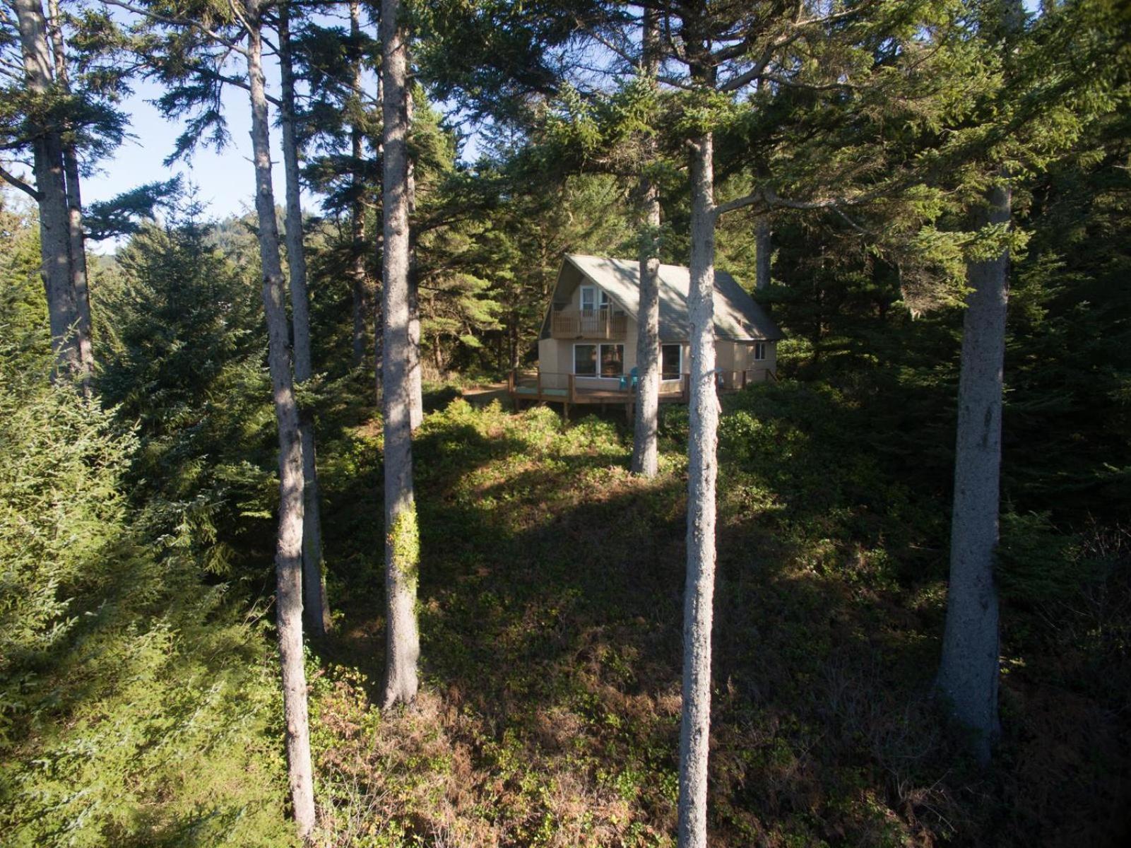 The Cedar House Villa Otter Rock Eksteriør bilde